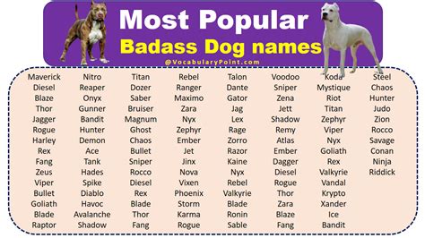 badass dog names male|intimidating names for male dogs.